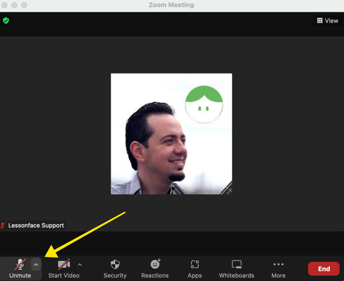 Zoom Speaker and Microphone Test Lessonface