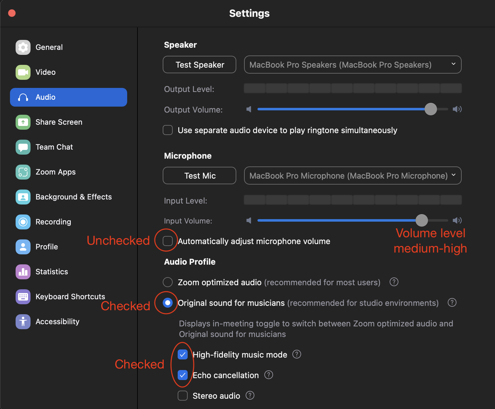 Optimal audio settings for lessons on Lessonface