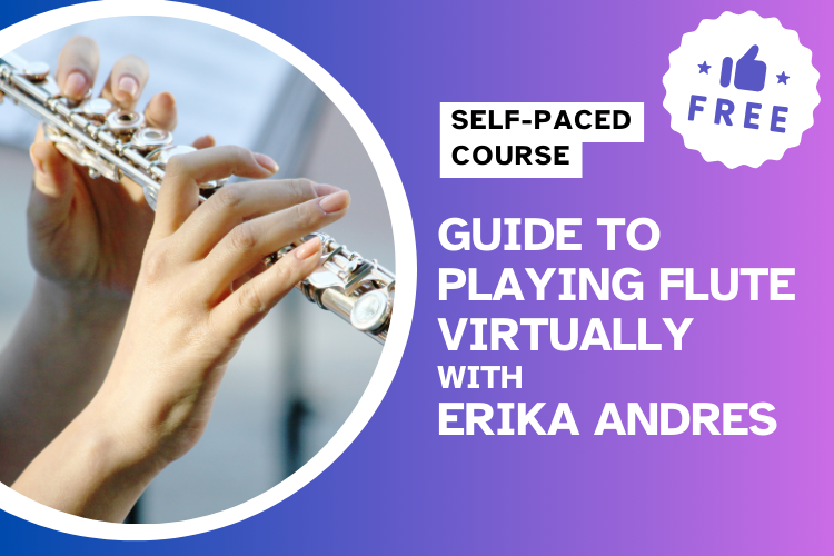 Virtual Flute Lessons How to