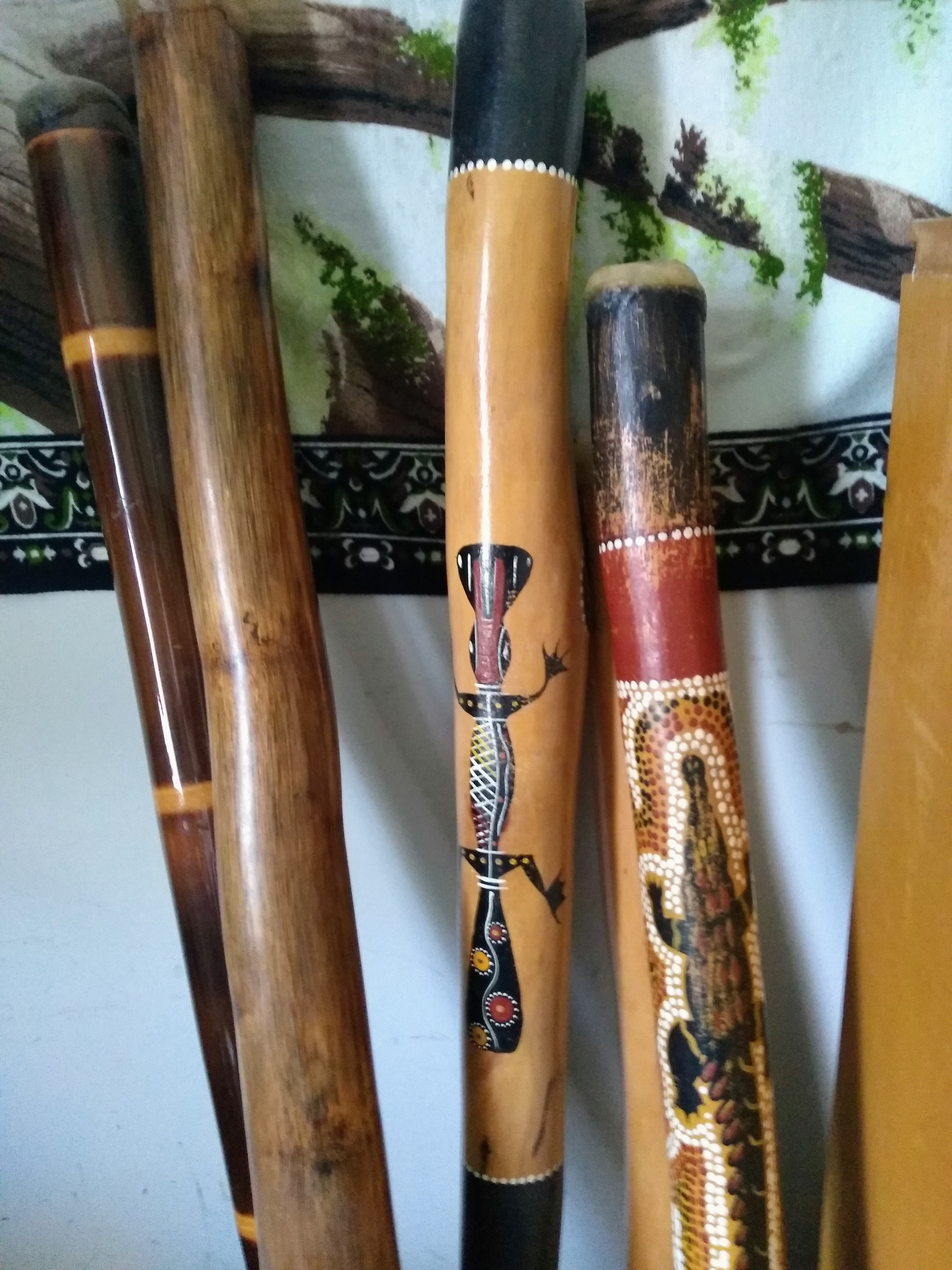 A Case For Learning To Play The Didgeridoo