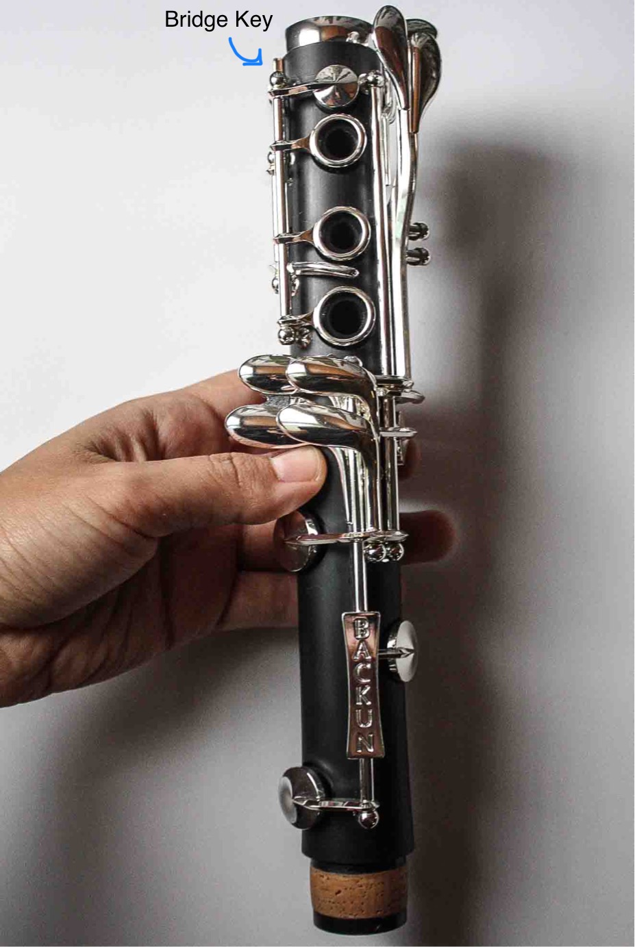 The lower joint of the clarinet
