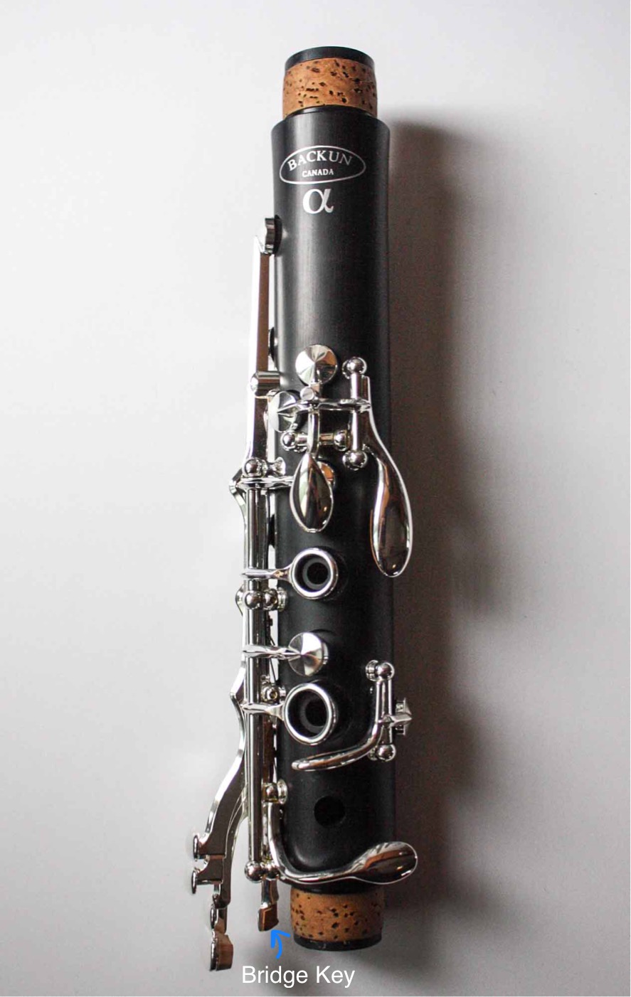 The upper joint of the clarinet
