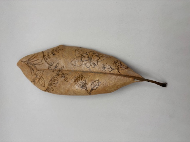 Magnolia Leaf