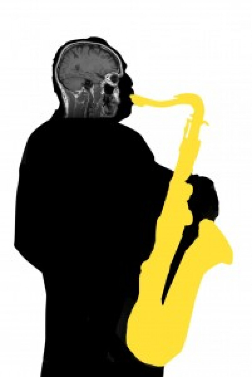 Brain Function and Music Education, LessonFace.com