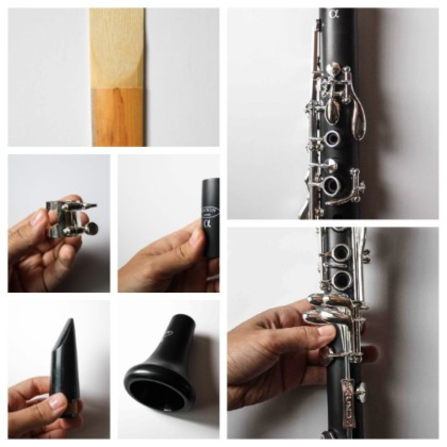 The parts of the clarinet