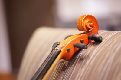 Violin scroll