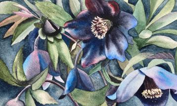 Watercolor Winter Botanicals