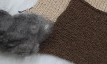 Reliable Wools with Jill Duarte