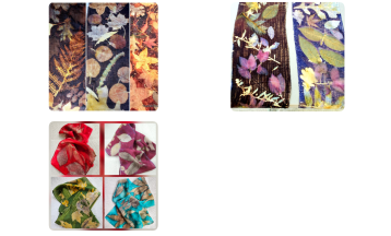 Ecoprint in Color on Silk and Wool