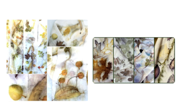 Natural Ecoprinting on SIlk and Wool