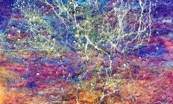 Needle Felting Colorful Sky