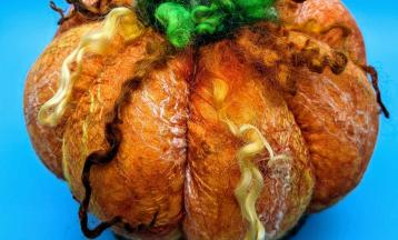Wet Felted Pumpkin