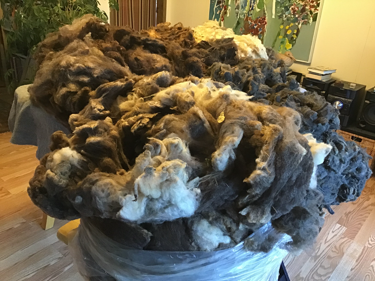 Three Bags Full Lessonface