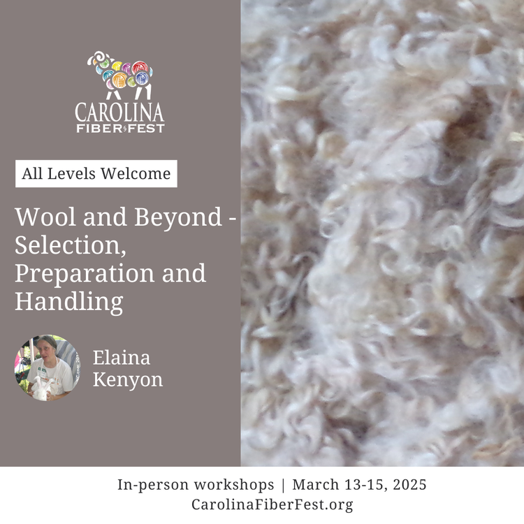 Wool and Beyond - Selection, Preparation and Handling | Lessonface