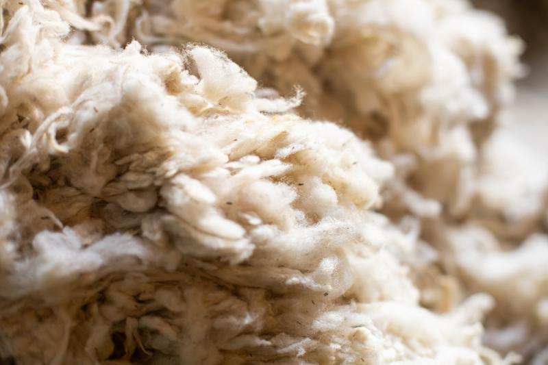 The Fibershed Movement: A Local Lens on Sustainable Textiles