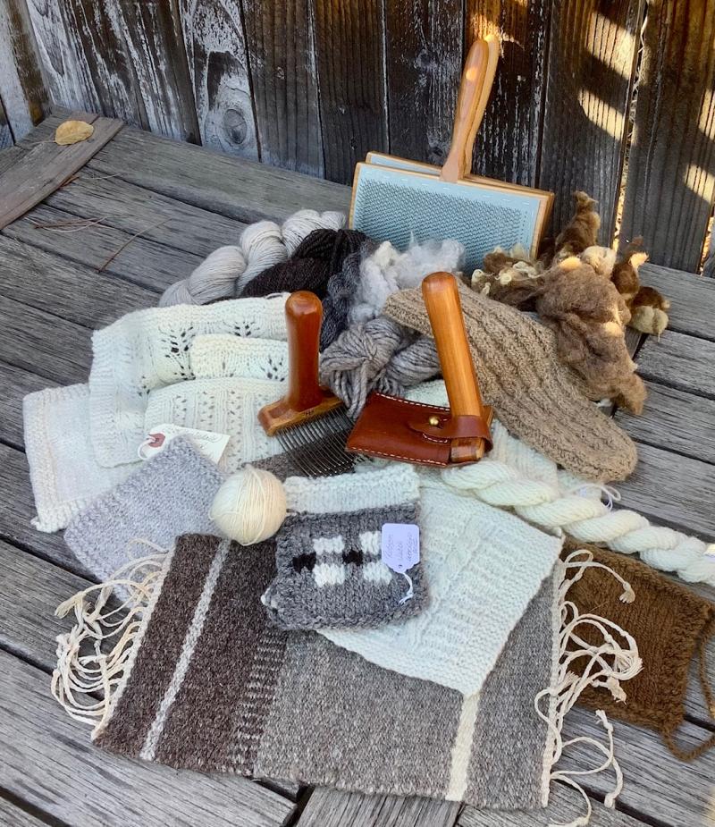 It All Starts with a Fleece with Maggie Casey