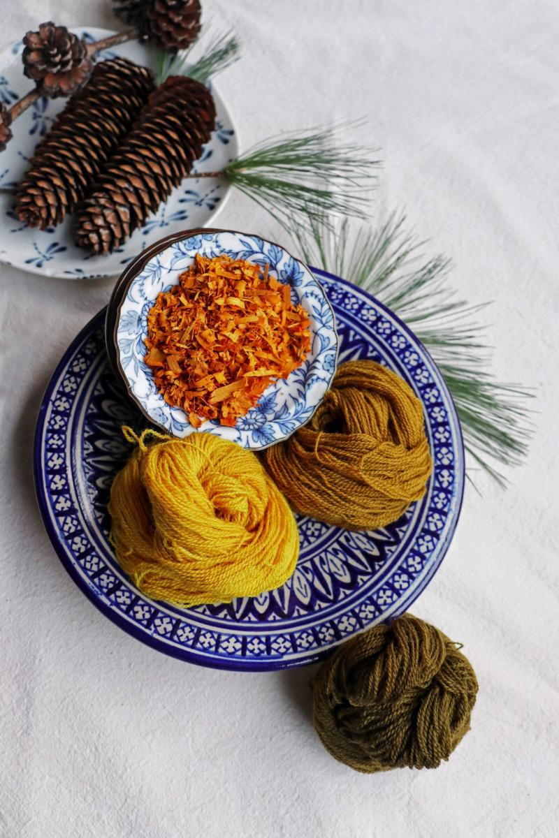 Creating a Rainbow of Color from Natural Dyes with Shelagh Jessop