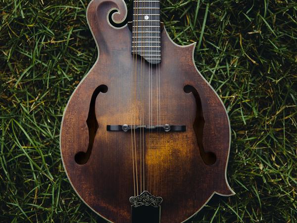 Mandolin waiting in grass for someone to learn how to play it