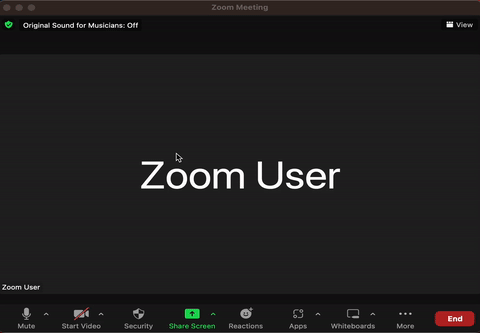 find audio settings in zoom