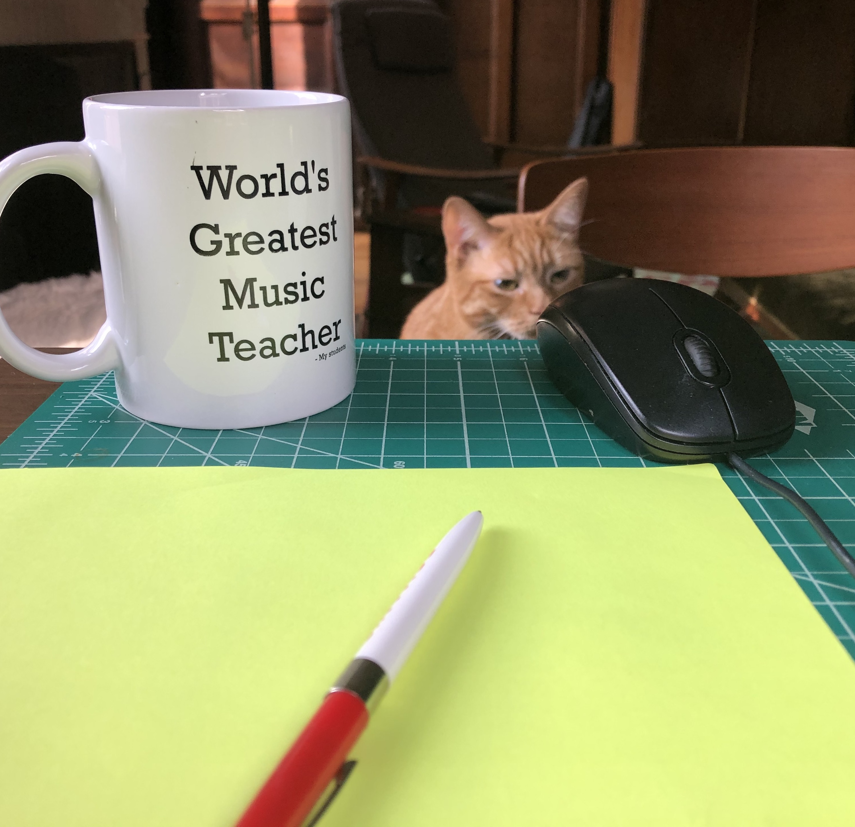 Cat with mug saying worlds greatest music teacher