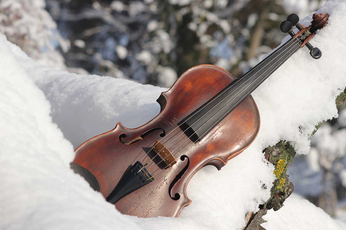 Putting a violin in the sun and snow is not a good idea