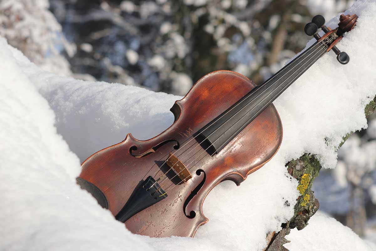 Violin Care and Maintenance Lessonface